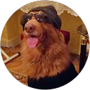 N3RVOU5S profile picture